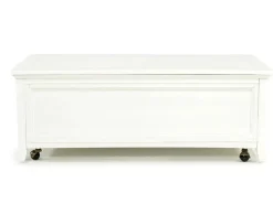 Bay Creek Lift Top Coffee Table In Nutmeg