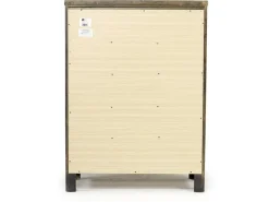 Blue Ridge Chest In Rustic Gray