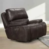 Brookings 2 Power Gliding Recliner In Brown