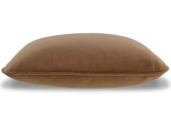 Caygan Throw Pillow In Honey