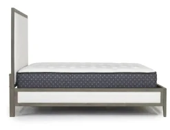Chloe Upholstered Panel Bed In Gray/White, Queen