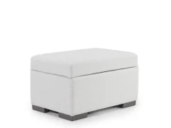 Dennon Storage Ottoman In Sea Salt