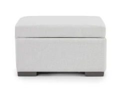 Dennon Storage Ottoman In Sea Salt