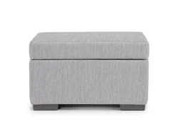 Dennon Storage Ottoman In Sea Salt