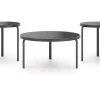 Dorylin Coffee Table W/ 2 End Tables In Black