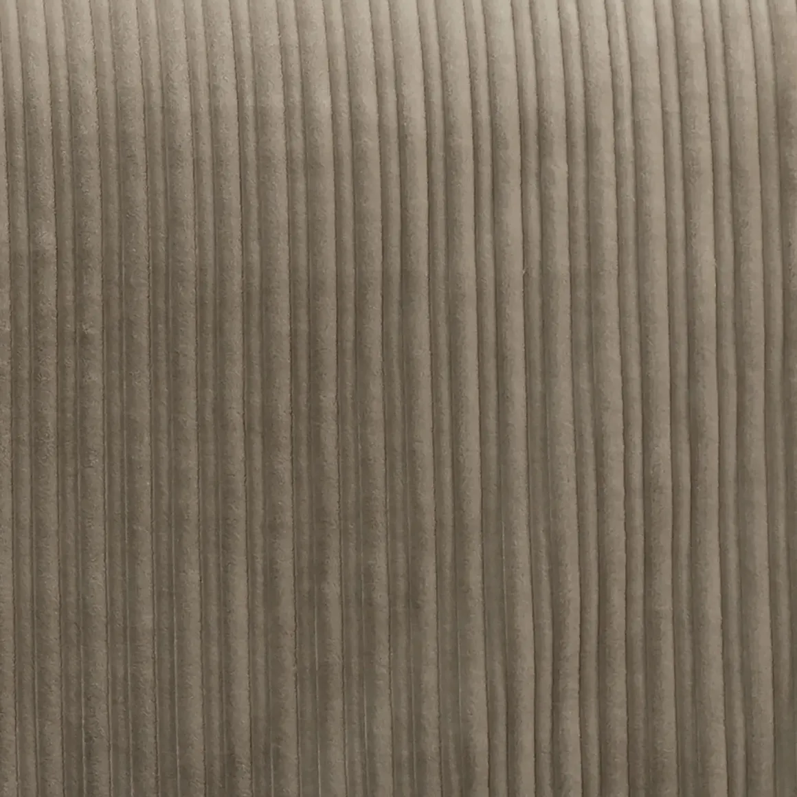 Downy Pillowcases In Storm Gray, Set Of 2, Eastern King