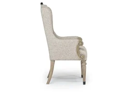 Durango Upholstered Arm Chair In Willadeene