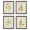 Dyani Wall Art, Set Of 4