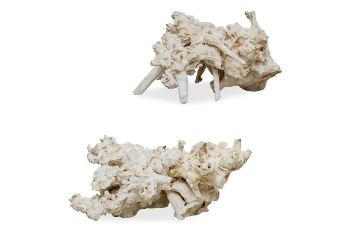 Elemental Roots Sculpture, Set Of 2