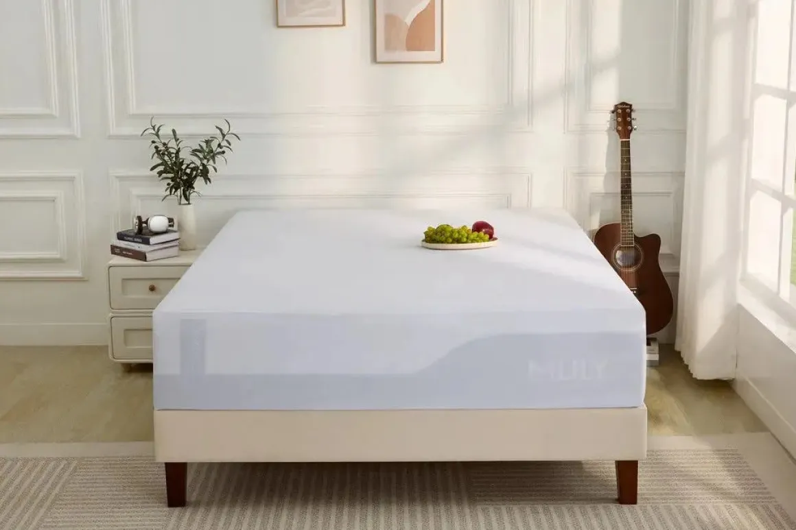 Encased Mattress Protector In White, Twin