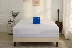 Encased Mattress Protector In White, Twin