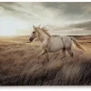 Errolville Horse On Glass Wall Art