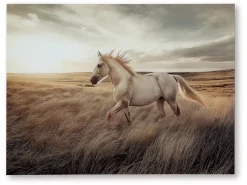 Errolville Horse On Glass Wall Art