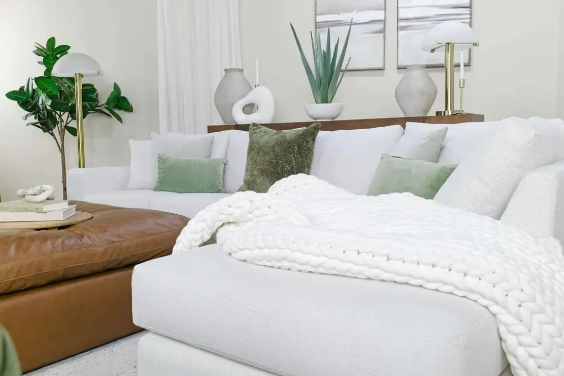 Evarado Aloe Planter