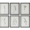 Forest Finds Wall Art, Set Of 6