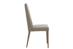 Jo Leather Side Chair In Aspen
