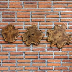 Kalani Wood Wall Art In Bleached Brown, Set Of 3