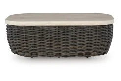 Kimora Outdoor Coffee Table In Beige/Dark Brown