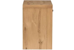 Laramie 2 Drawer Nightstand In Honey Wheat