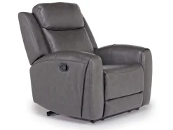 Mia Recliner In Gray