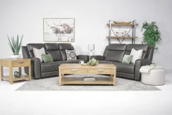 Mia Reclining Sofa In Gray