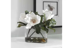 Middleton Magnolia Plant