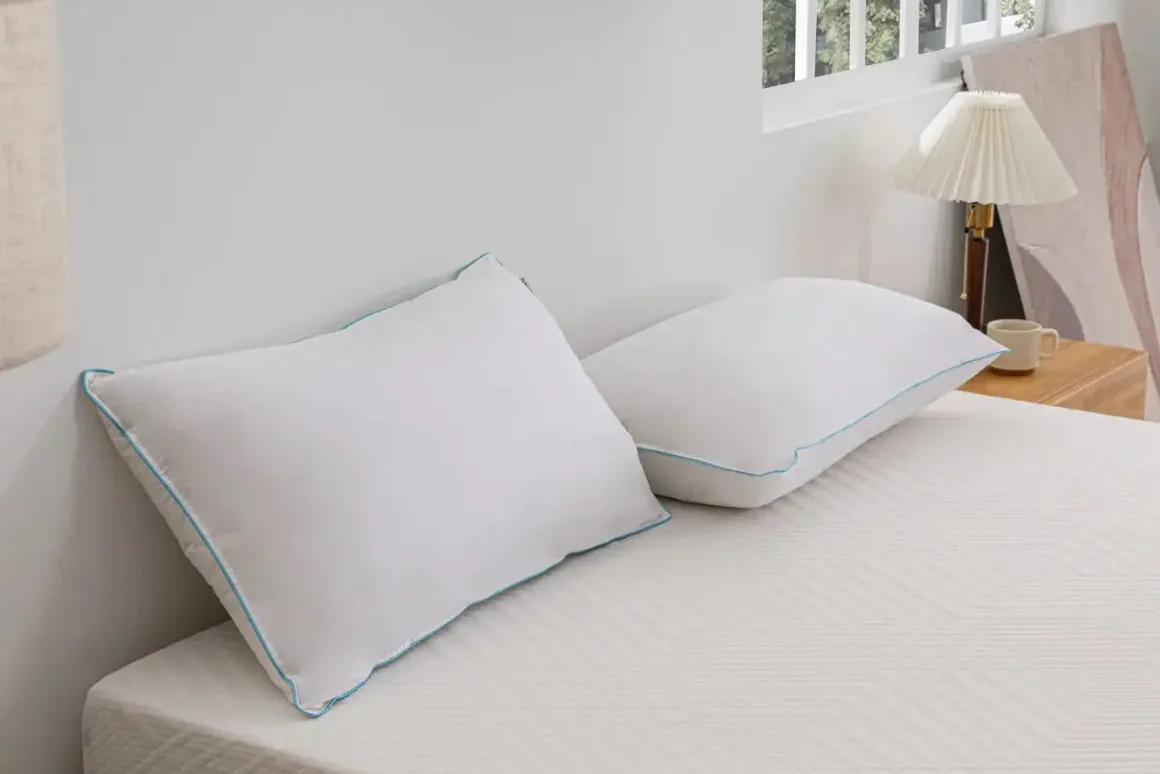 Mlily Ethically Sourced Down Pillow, Queen