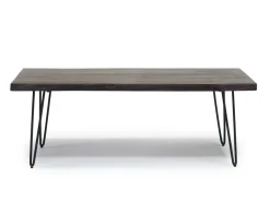Natures Edge Coffee Table In Chestnut/Black