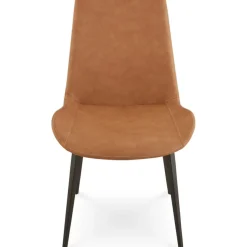 Nicoya Side Chair In Brown, Set Of 2