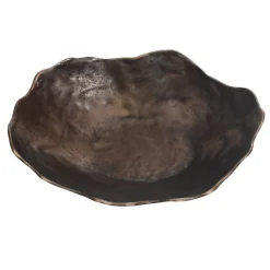 Obscura Bowl In Bronze