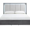 Odessa Panel Bed In Charcoal, Queen