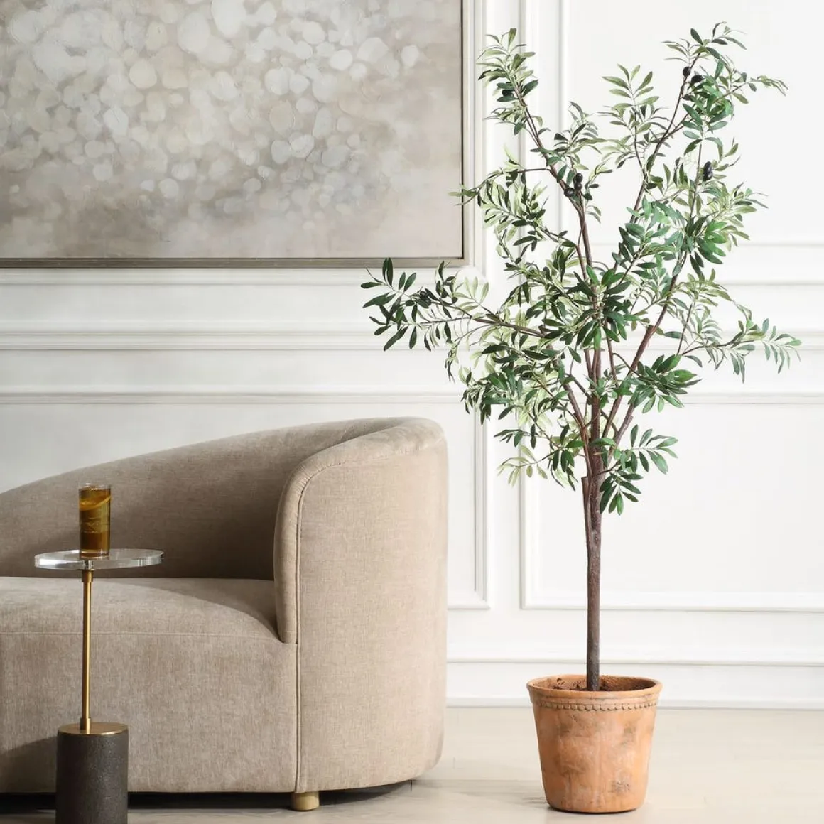 Olea Olive Fruit Tree Plant