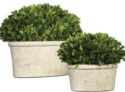 Oval Domes Preserved Boxwood, Set Of 2