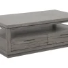 Pure Modern Coffee Table W/ Storage In Moonstone