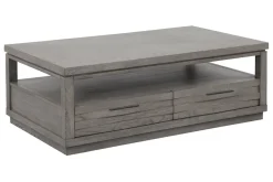 Pure Modern Coffee Table W/ Storage In Moonstone