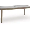 Rainier Outdoor Dining Table In Brown