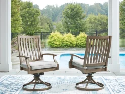 Rainier Outdoor Swivel Chair In Brown/Beige, Set Of 2