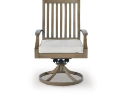 Rainier Outdoor Swivel Chair In Brown/Beige, Set Of 2