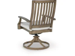 Rainier Outdoor Swivel Chair In Brown/Beige, Set Of 2