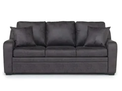 Regalla Queen Sleeper Sofa In Meluco