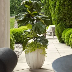 Ridgehaven Planter Vase In Natural