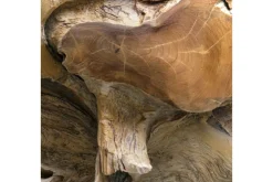 Sola Outdoor Round End Table In Natural