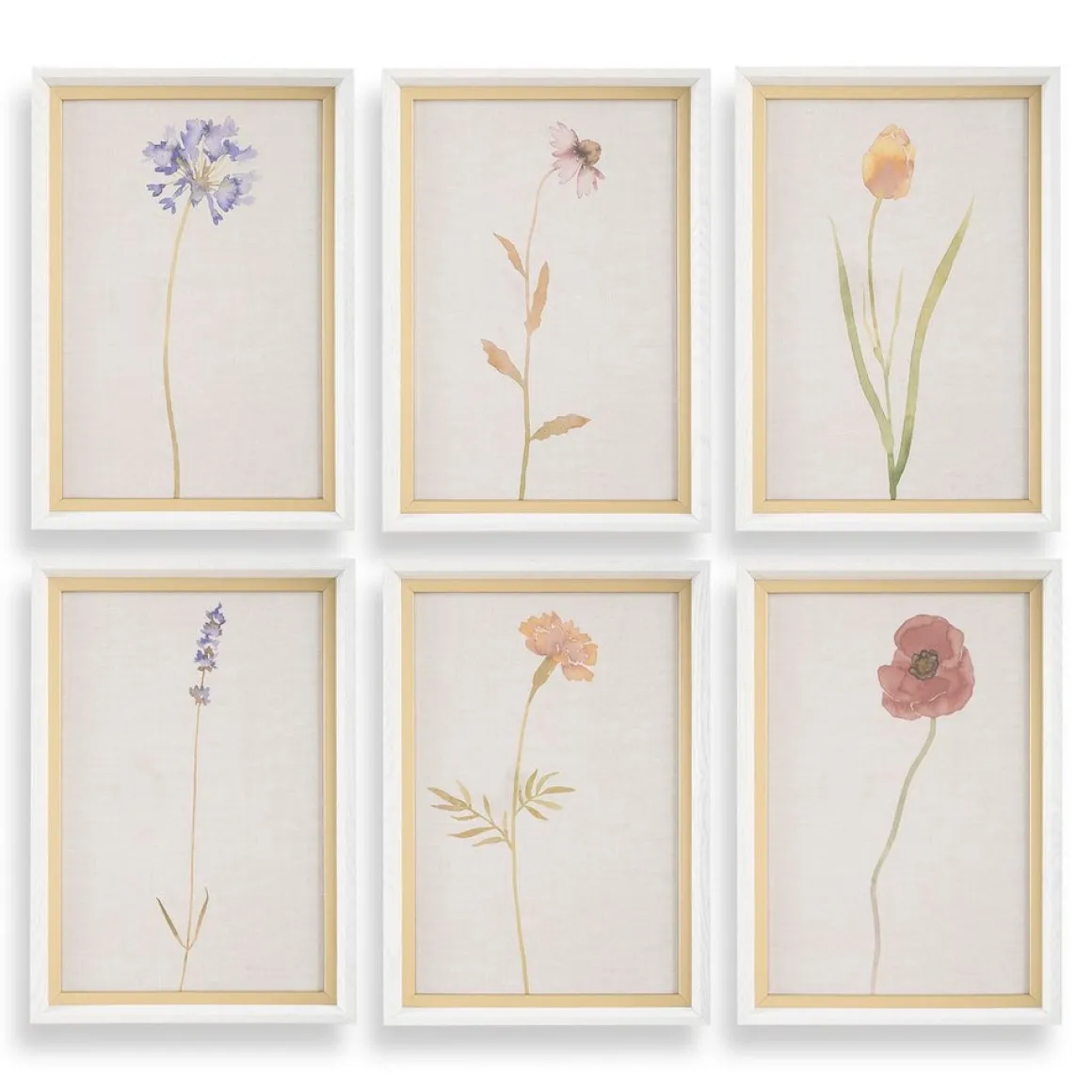 Wild Flourish Wall Art, Set Of 6