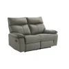 Wildcat Reclining Loveseat In Gray