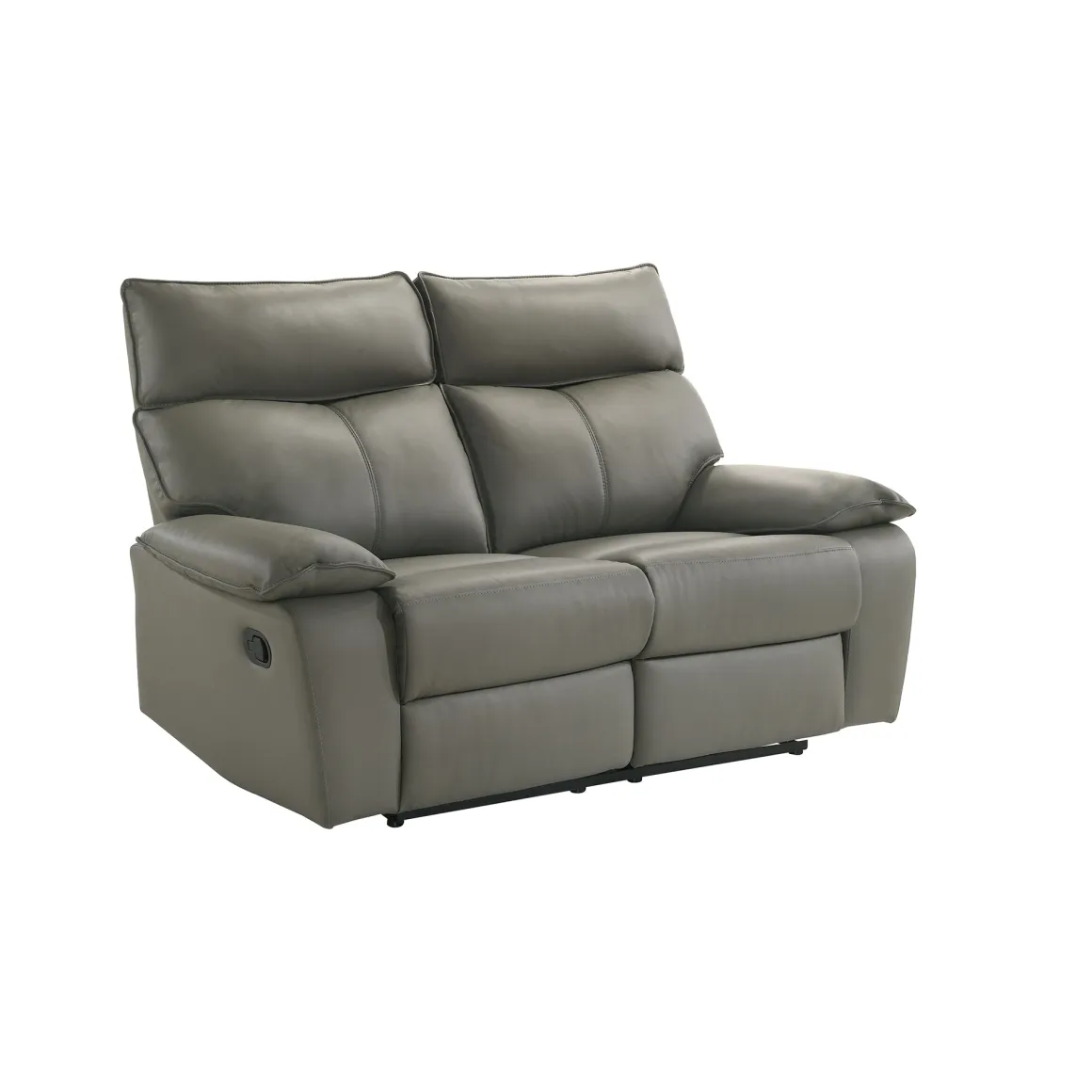 Wildcat Reclining Loveseat In Gray
