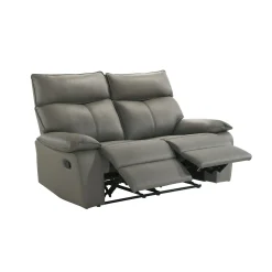 Wildcat Reclining Loveseat In Gray