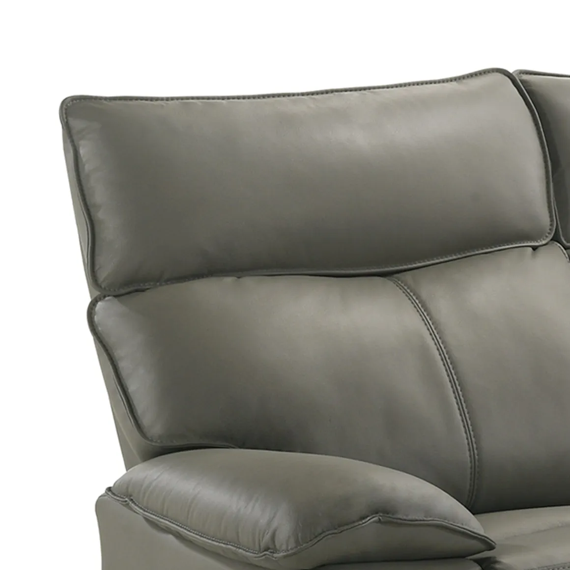Wildcat Reclining Loveseat In Gray