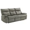 Wildcat Reclining Sofa In Gray