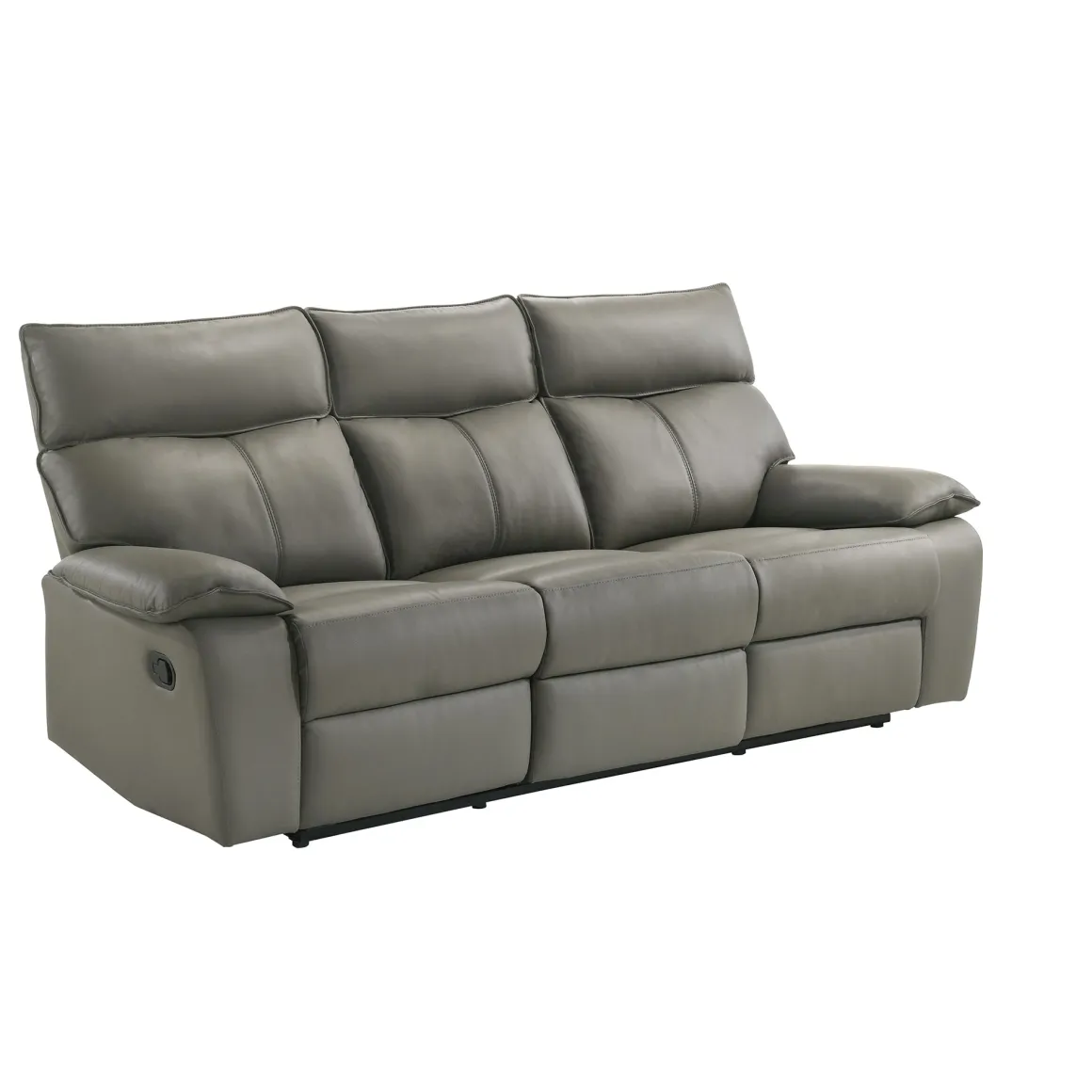 Wildcat Reclining Sofa In Gray