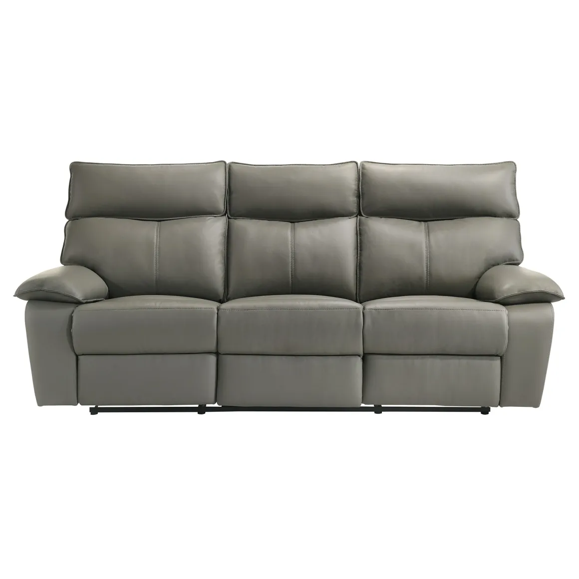 Wildcat Reclining Sofa In Gray